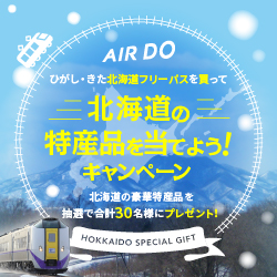 キャンペーン情報 北海道発着の飛行機予約 空席照会 Airdo エア ドゥ キャンペーン情報 北海道発着の飛行機予約 空席照会 Airdo エア ドゥ