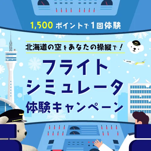北海道の空をあなたの操縦で!フライトシミュレータ体験キャンペーン