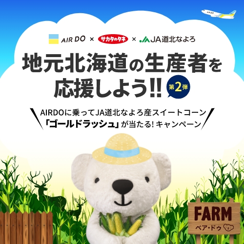 キャンペーン お得な情報 北海道発着の飛行機予約 空席照会 Airdo エア ドゥ