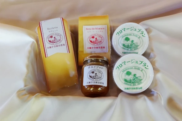 ナチュラルチーズ 詰め合わせセット