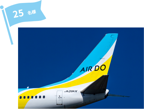 AIRDO 往復航空券