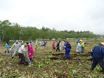 Company Reforestation Initiatives Based on Tree-planting image3