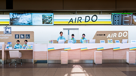 Airport Access and Counters