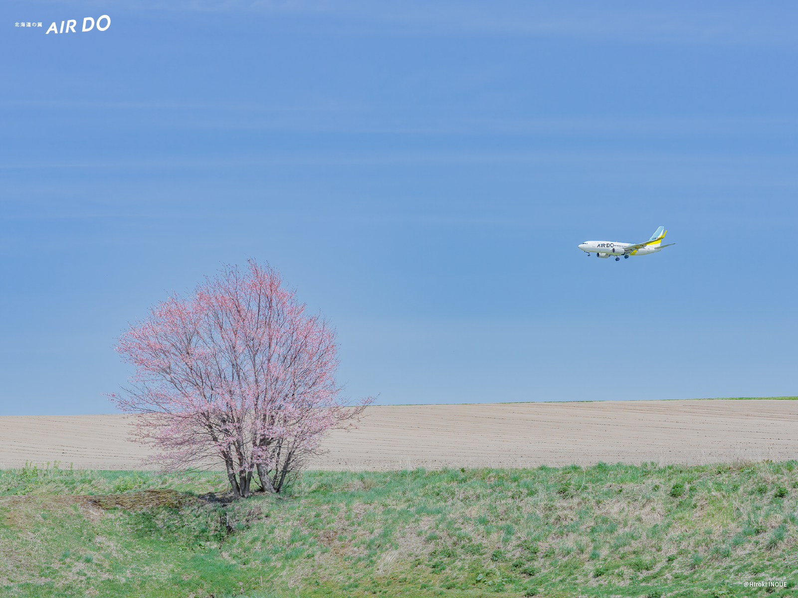 壁紙のダウンロード ダウンロード 北海道発着の飛行機予約 空席照会 Airdo エア ドゥ