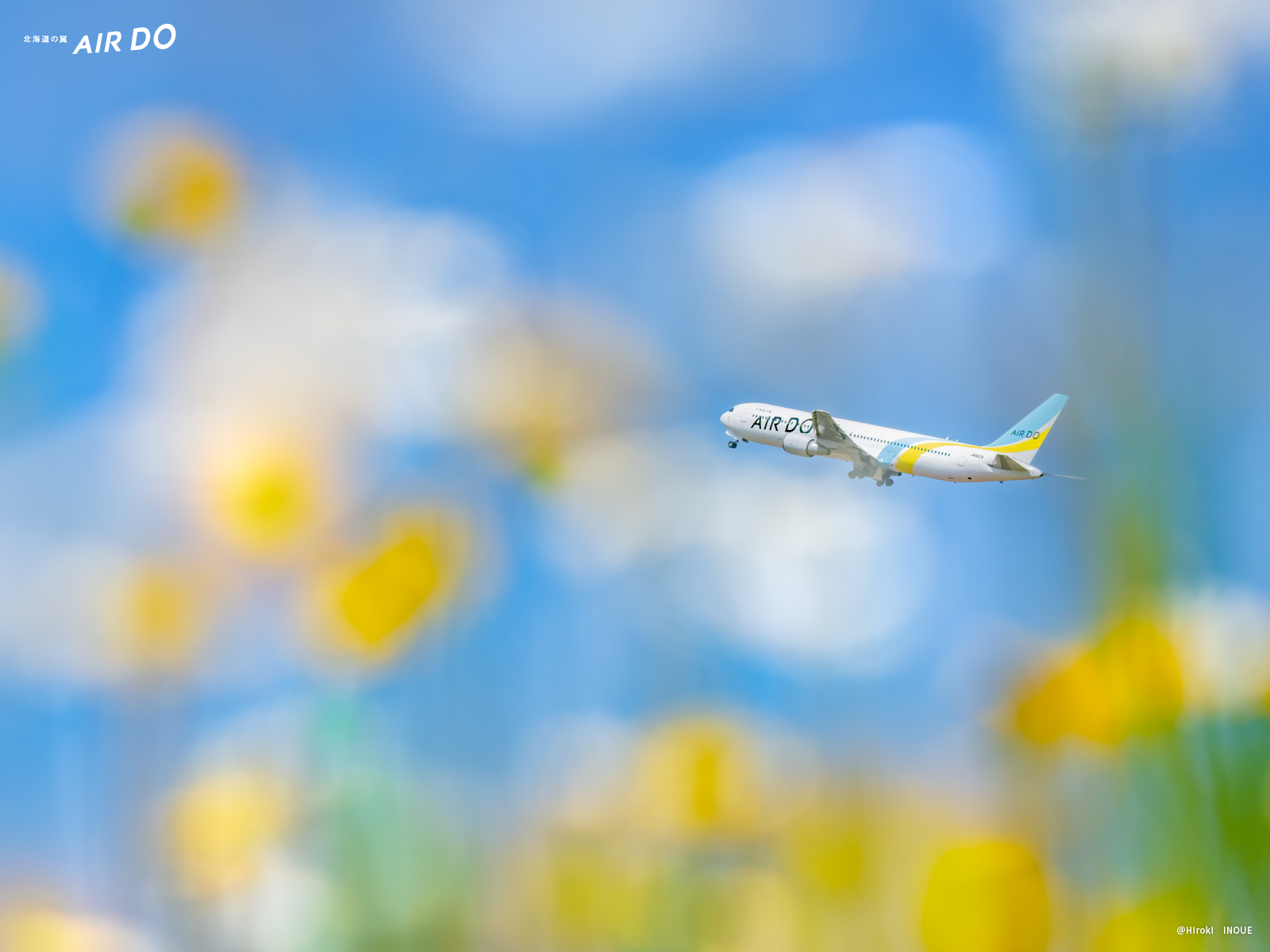 Wallpaper Of The Month Download Official Airdo Website Visit Airdo For Reserving Airplane Tickets To And From Hokkaido