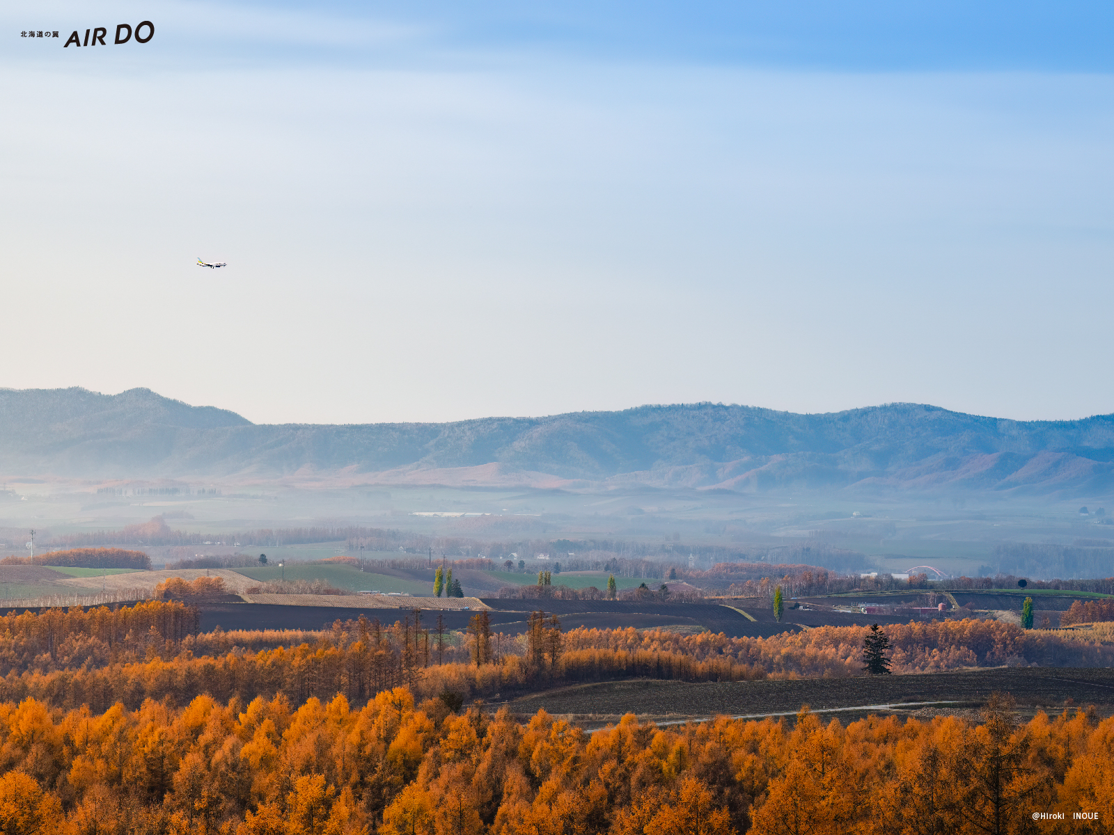 本月的壁纸 Download 预订由北海道出发或到达北海道的机票及空座查询 Airdo