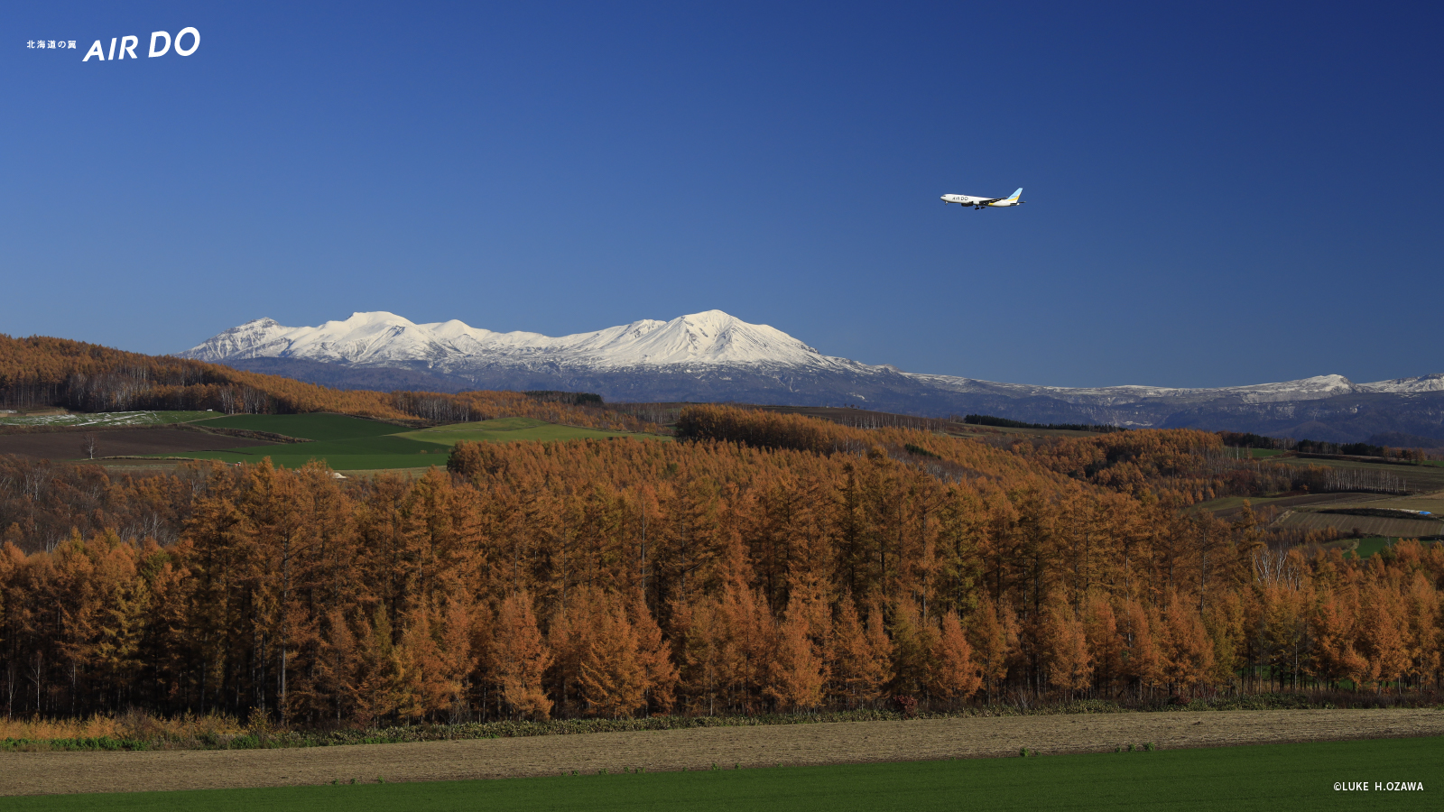 1600x900 壁紙 最高のhd壁紙画像