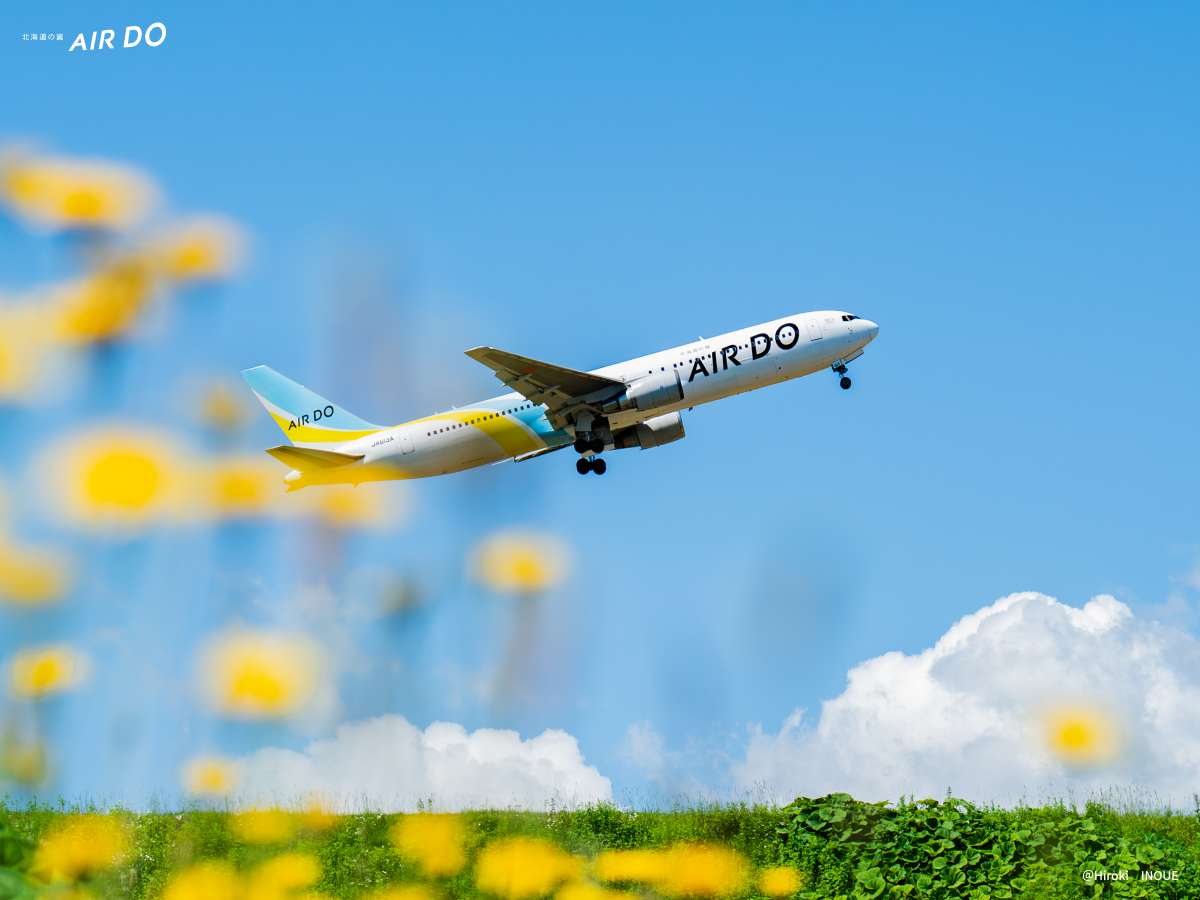 AIRDO Aircraft