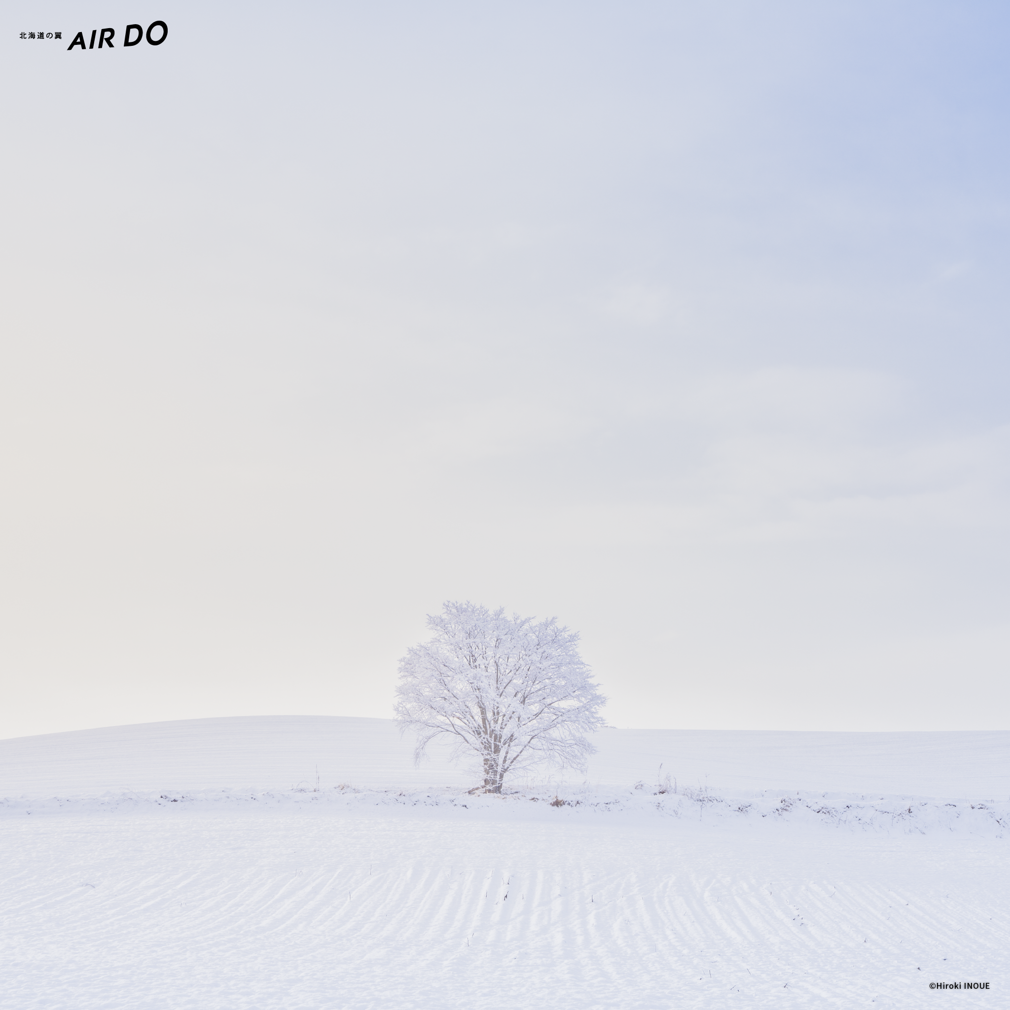 Wallpaper Of The Month Download Official Airdo Website Visit Airdo For Reserving Airplane Tickets To And From Hokkaido Wallpaper Of The Month Download Official Airdo Website Visit Airdo For Reserving Airplane Tickets To And From Hokkaido