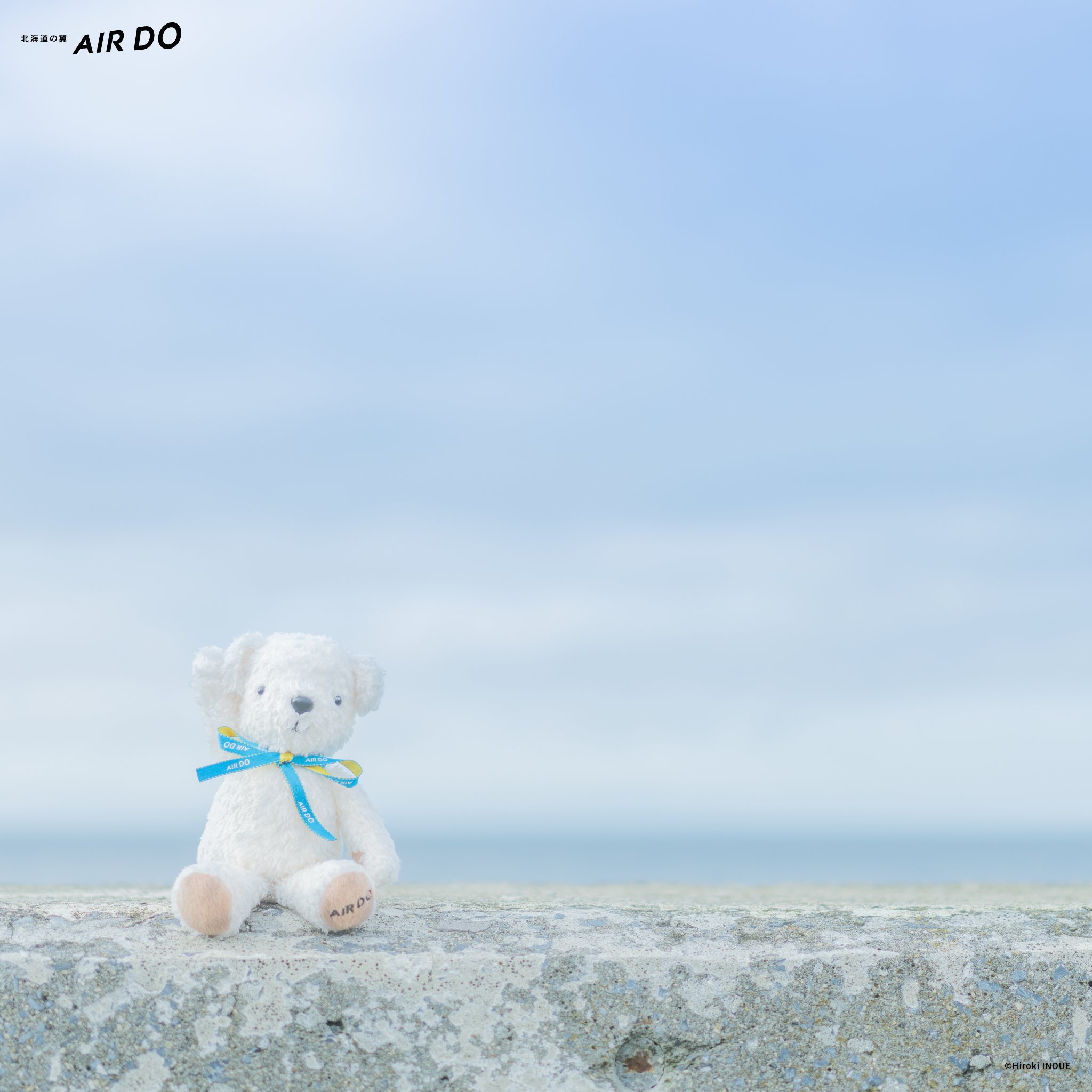 壁紙のダウンロード ダウンロード 北海道発着の飛行機予約 空席照会 Airdo エア ドゥ