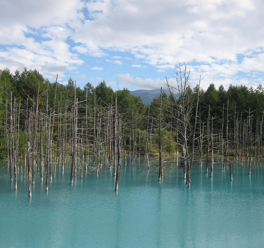 Shirogane Blue Pond