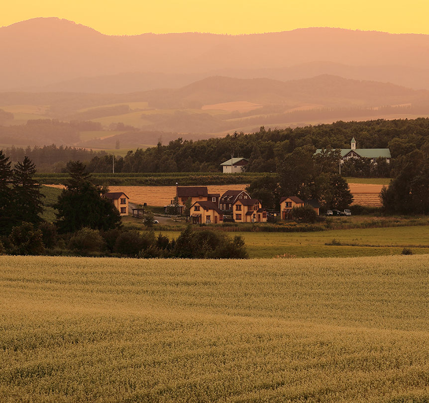 Cottage Spoonvalley