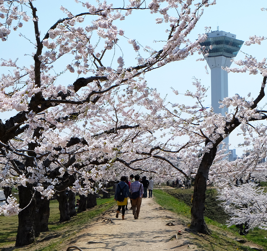 Goryokaku Special Historic Site