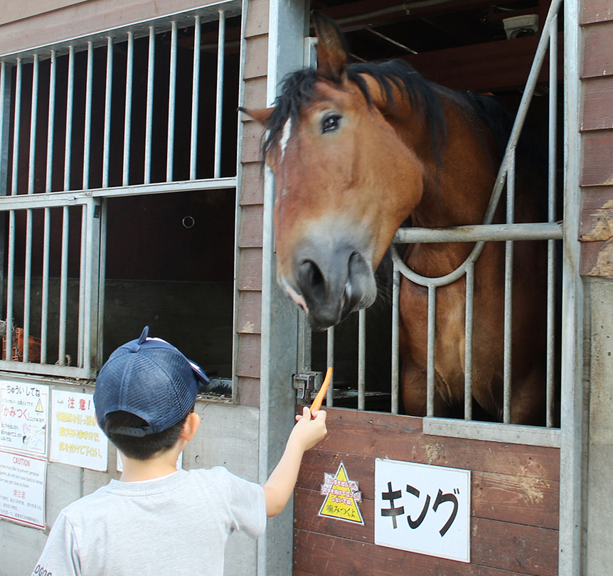 輓曳十勝