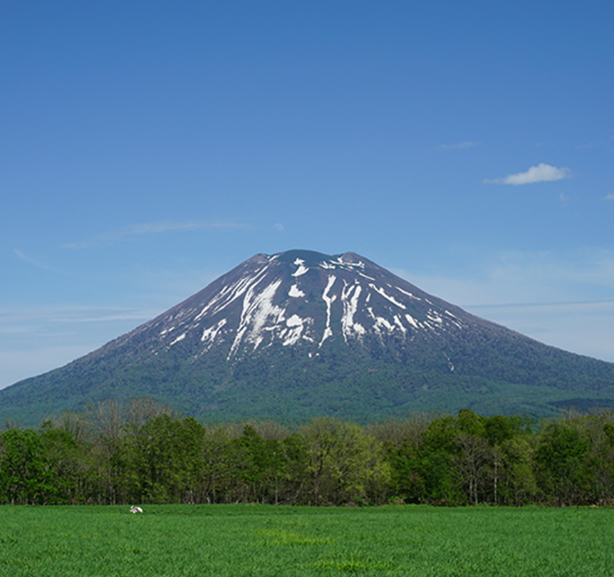 Niseko