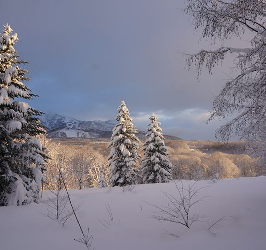 Niseko