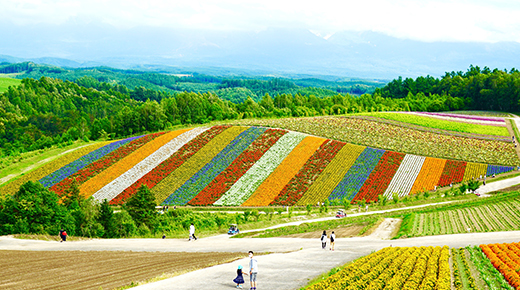 Enjoy touring throughout Hokkaido!