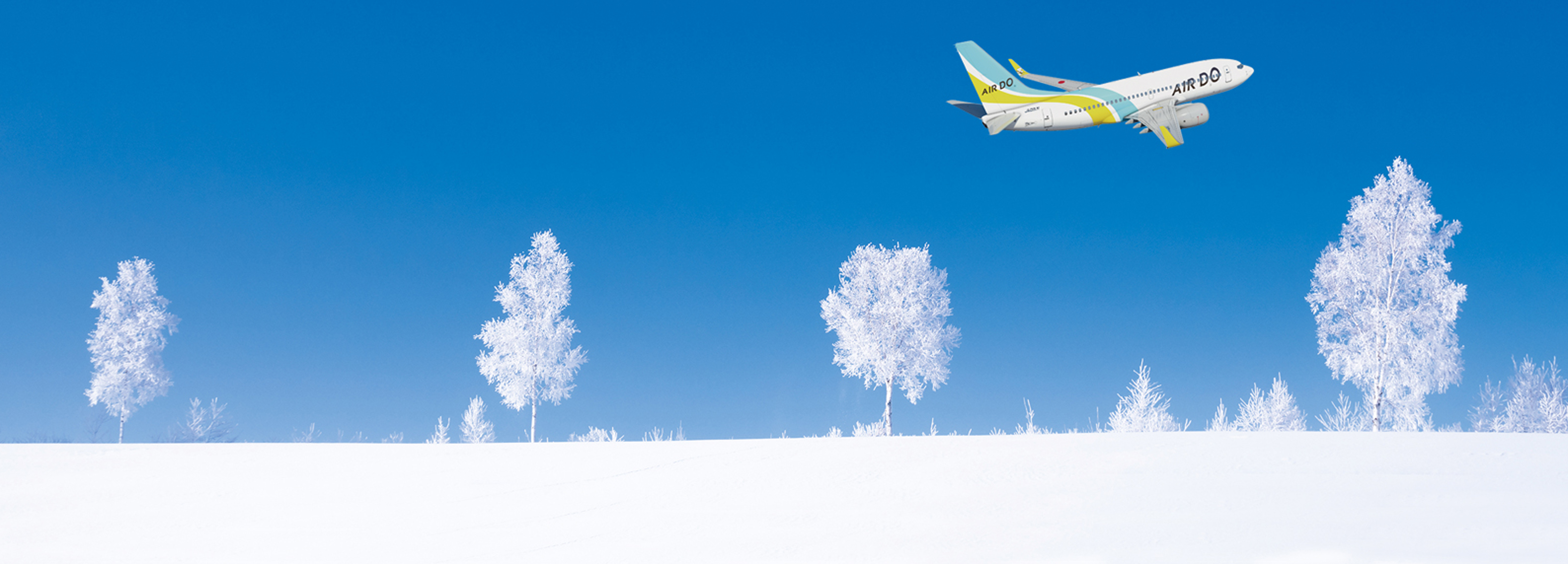 北海道発着の飛行機予約 空席照会 airdo エア ドゥ