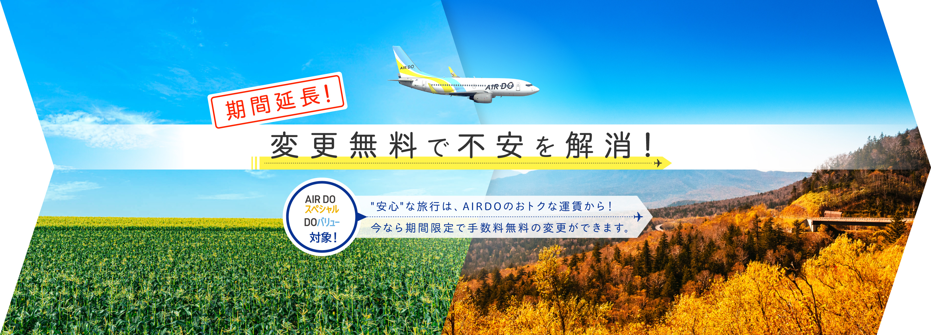 北海道発着の飛行機予約 空席照会 Airdo エア ドゥ