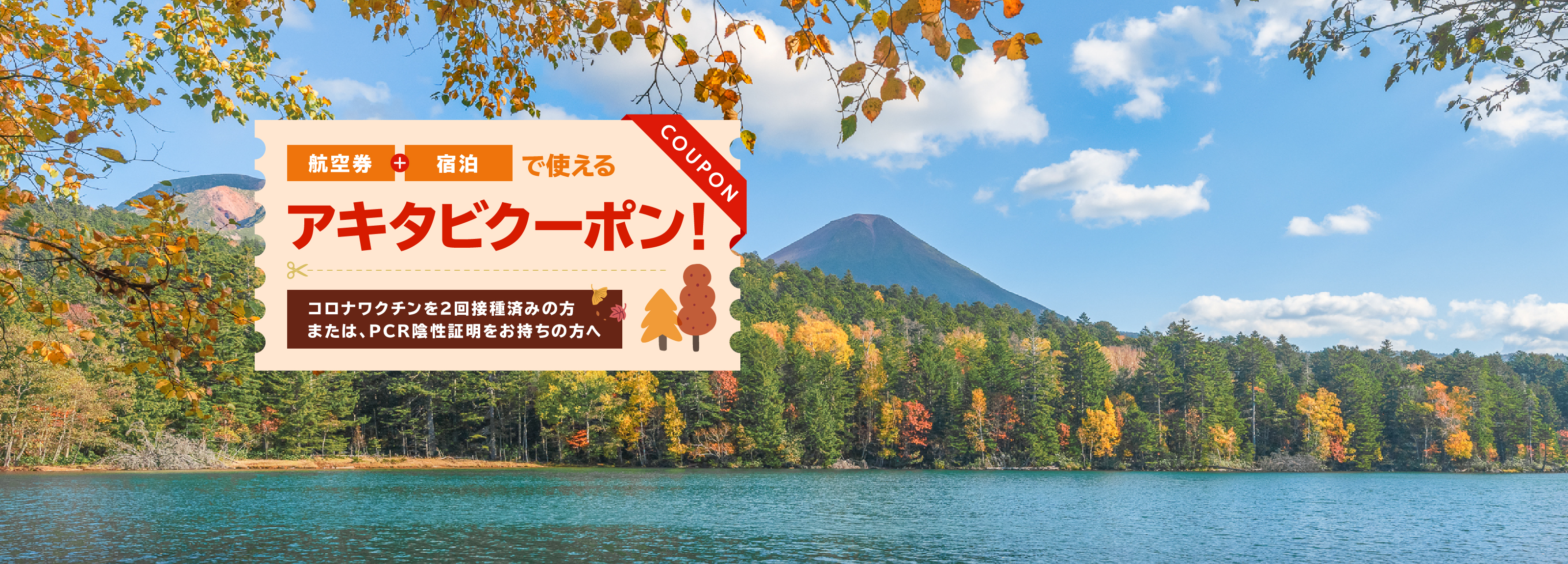 北海道発着の飛行機予約 空席照会 Airdo エア ドゥ