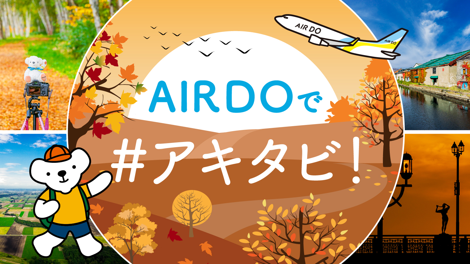 北海道発着の飛行機予約 空席照会 Airdo エア ドゥ