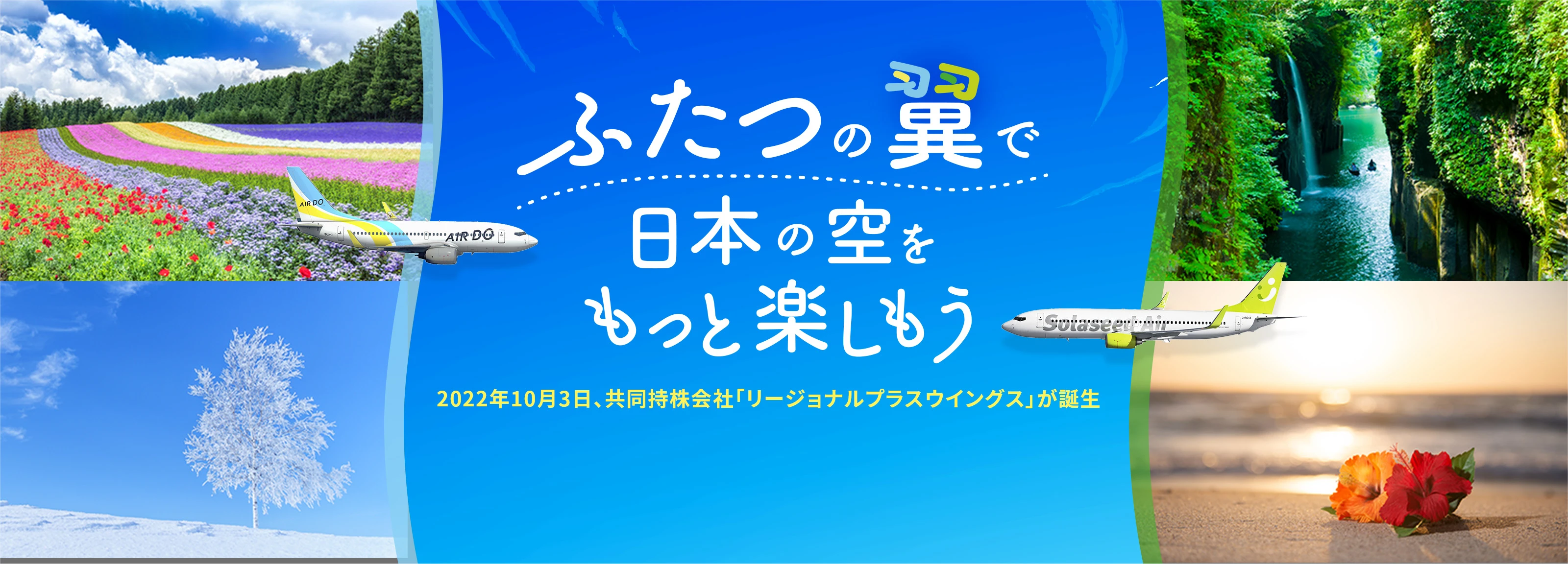 北海道発着の飛行機予約 空席照会 Airdo エア ドゥ