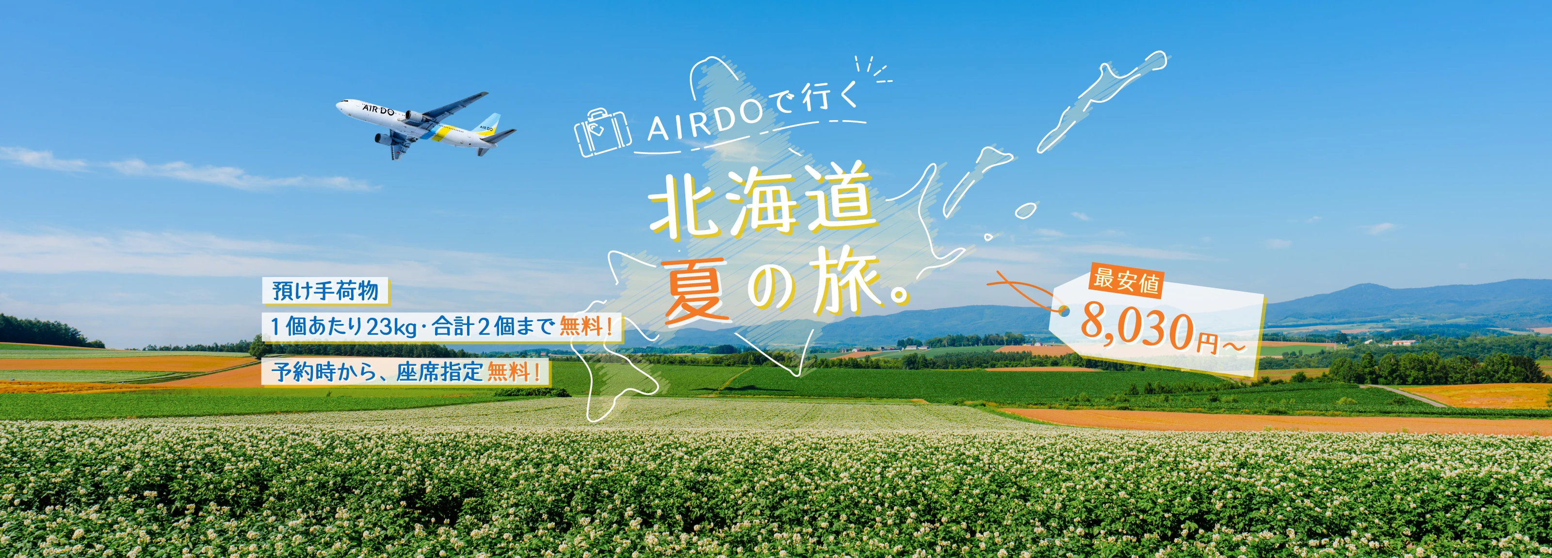 【3/15片道　男性】ADO 020 札幌(新千歳) → 東京(羽田) 12:20 - 14:00 北海道発着の飛行機予約・空席照会｜AIRDO（エア・ドゥ）