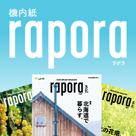 北海道発着の飛行機予約 空席照会 Airdo エア ドゥ