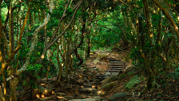 芥屋の大門公園