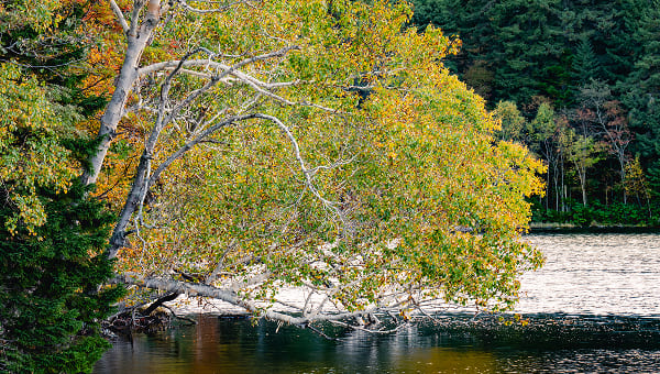 オンネトー湯の滝