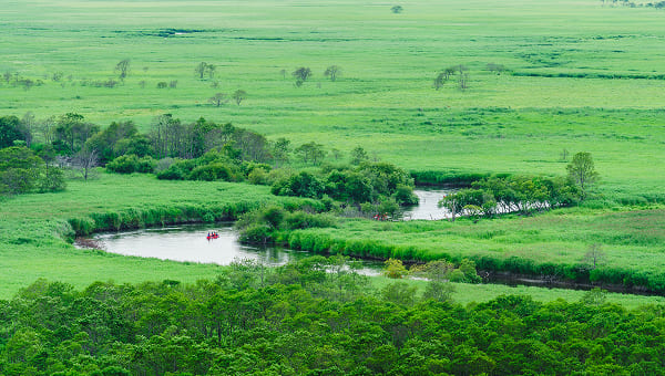 釧路湿原