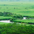 釧路湿原