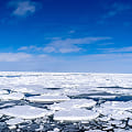 流氷