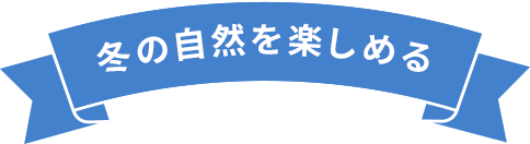 冬の自然を楽しめる