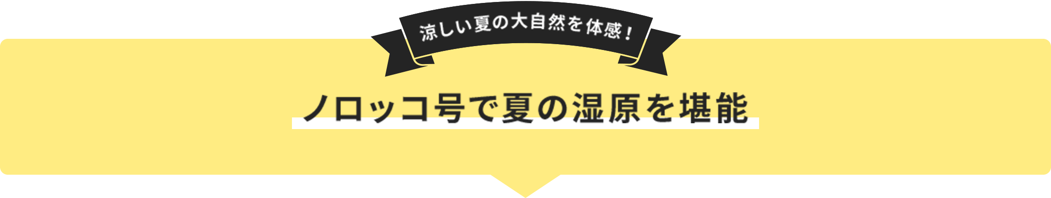 涼しい夏の大自然を体感！ ノロッコ号で夏の湿原を堪能