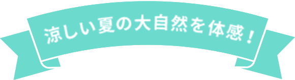 非日常な体験