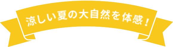 涼しい夏の大自然を体感！