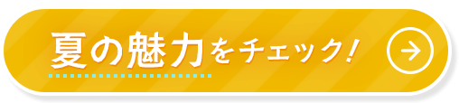 夏の魅力をチェック