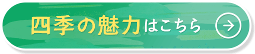 四季の魅力はこちら