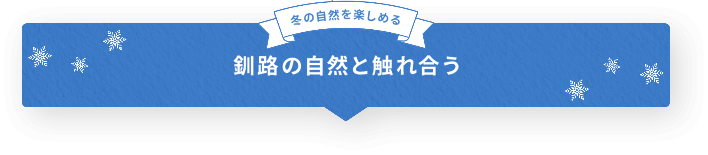 冬の自然を楽しめる 釧路の自然と触れ合う