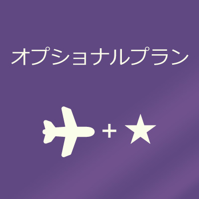 オプショナルプラン