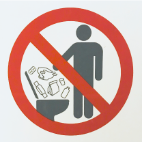 Please do not flush toilet except toilet paper