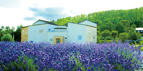 菜園と花畑でもてなす全3室のオーベルジュ
