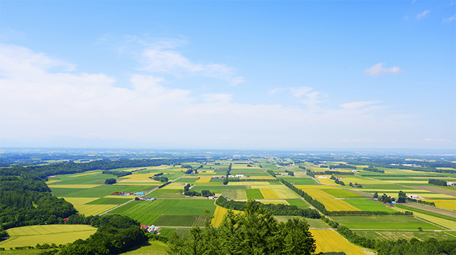 Obihiro