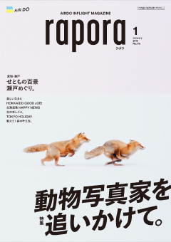 今月のrapora