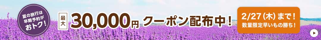 期間限定クーポン