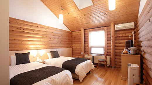 コンパクトツイン